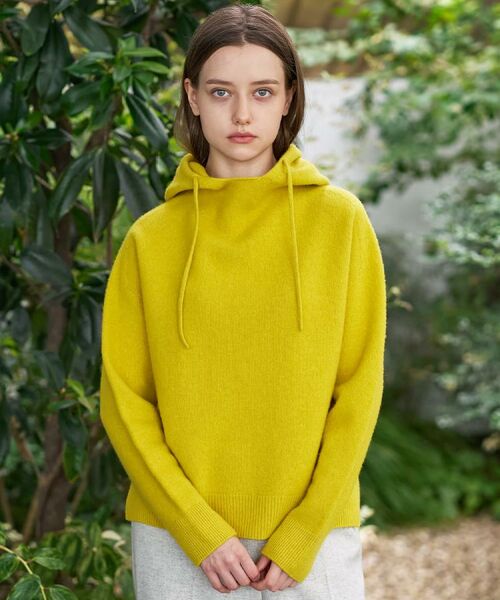 DRESSTERIOR / ドレステリア ニット・セーター | カシミヤブレンドフードニット | 詳細18