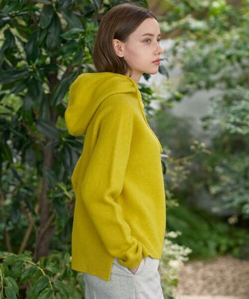 DRESSTERIOR / ドレステリア ニット・セーター | カシミヤブレンドフードニット | 詳細19