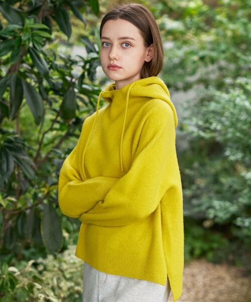 DRESSTERIOR / ドレステリア ニット・セーター | カシミヤブレンドフードニット | 詳細21