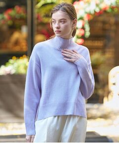 DRESSTERIOR / ドレステリア ニット・セーター | ミドルゲージハイネックプルオーバー