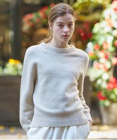 DRESSTERIOR / ドレステリア ニット・セーター | 【otonaMUSE 11月号掲載】カシミヤブレンドクルーネックニット