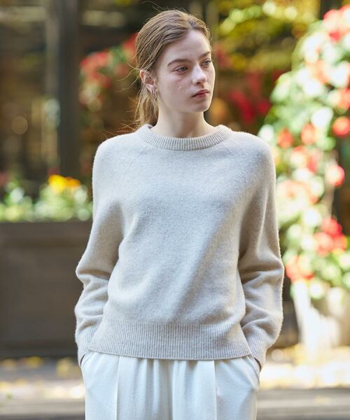 DRESSTERIOR / ドレステリア ニット・セーター | 【otonaMUSE 11月号掲載】カシミヤブレンドクルーネックニット | 詳細1