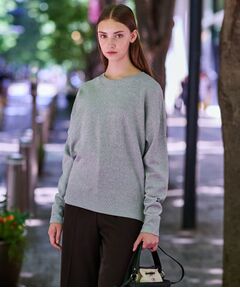 DRESSTERIOR / ドレステリア カットソー | ラメ裏毛プルオーバー