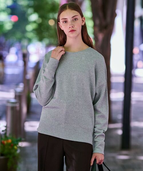 DRESSTERIOR / ドレステリア カットソー | ラメ裏毛プルオーバー | 詳細1