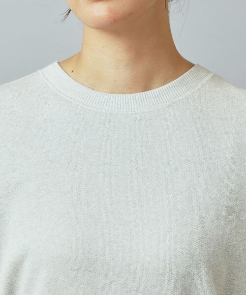 DRESSTERIOR / ドレステリア カットソー | ラメ裏毛プルオーバー | 詳細10