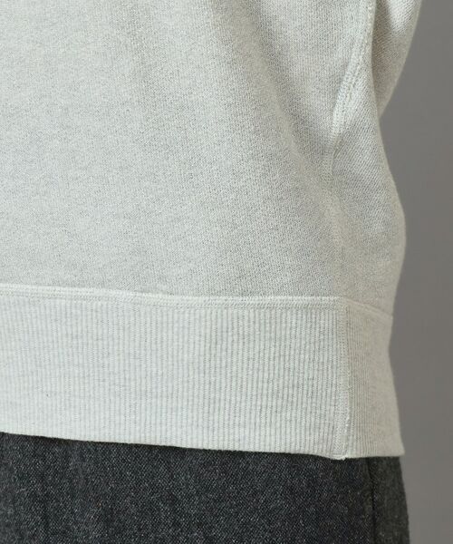 DRESSTERIOR / ドレステリア カットソー | ラメ裏毛プルオーバー | 詳細16