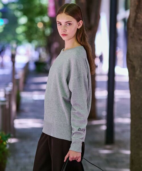 DRESSTERIOR / ドレステリア カットソー | ラメ裏毛プルオーバー | 詳細3