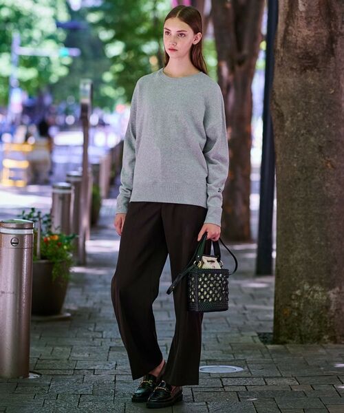 DRESSTERIOR / ドレステリア カットソー | ラメ裏毛プルオーバー | 詳細4