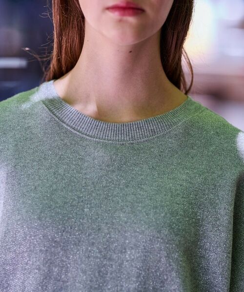 DRESSTERIOR / ドレステリア カットソー | ラメ裏毛プルオーバー | 詳細5