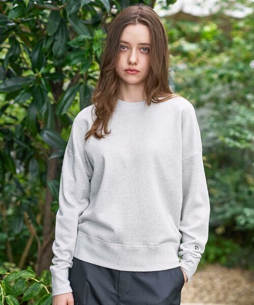 DRESSTERIOR / ドレステリア カットソー | ラメ裏毛プルオーバー(ライトグレー(011))