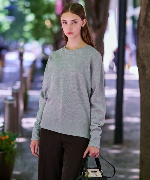DRESSTERIOR / ドレステリア カットソー | ラメ裏毛プルオーバー(グレー(012))