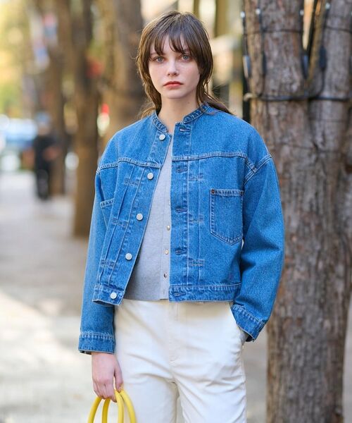 DRESSTERIOR / ドレステリア Gジャン・デニムジャケット | ヴィンテージバンドカラーGジャン | 詳細1