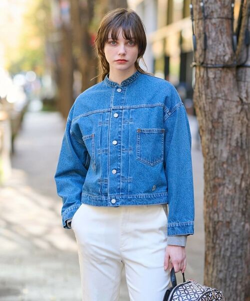 DRESSTERIOR / ドレステリア Gジャン・デニムジャケット | ヴィンテージバンドカラーGジャン | 詳細2