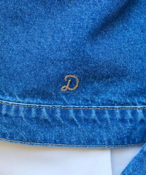DRESSTERIOR / ドレステリア Gジャン・デニムジャケット | ヴィンテージバンドカラーGジャン | 詳細7