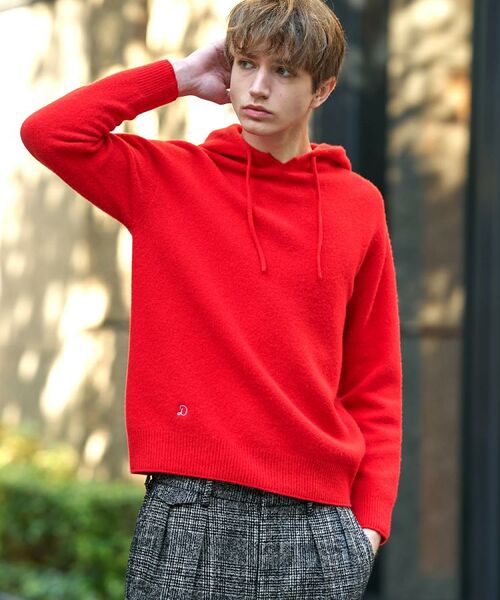 DRESSTERIOR / ドレステリア ニット・セーター | カシミヤブレンドフードニット | 詳細13