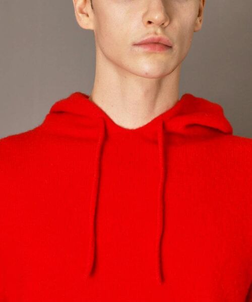DRESSTERIOR / ドレステリア ニット・セーター | カシミヤブレンドフードニット | 詳細19