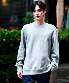 DRESSTERIOR / ドレステリア スウェット | 裏起毛 プルオーバースウェット