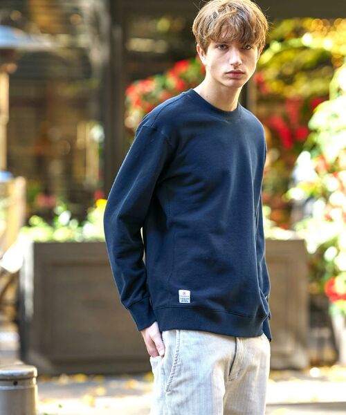 DRESSTERIOR / ドレステリア スウェット | 裏起毛 プルオーバースウェット | 詳細1