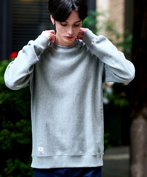 DRESSTERIOR / ドレステリア スウェット | 裏起毛 プルオーバースウェット | 詳細10
