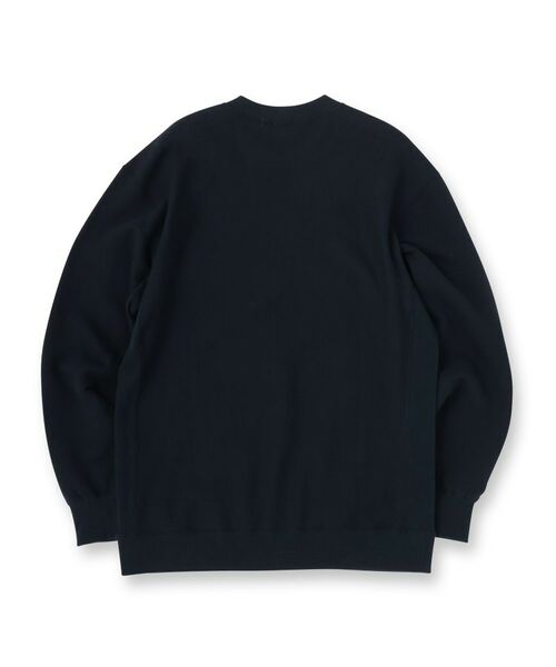 DRESSTERIOR / ドレステリア スウェット | 裏起毛 プルオーバースウェット | 詳細14