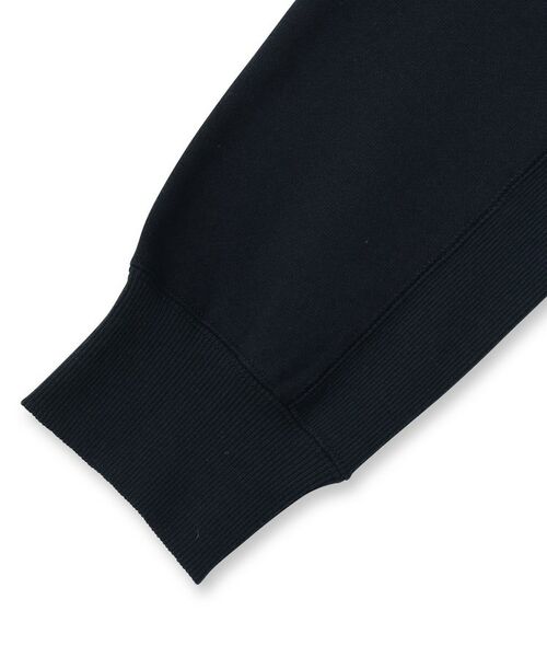 DRESSTERIOR / ドレステリア スウェット | 裏起毛 プルオーバースウェット | 詳細16