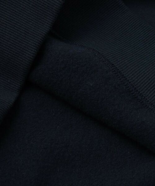 DRESSTERIOR / ドレステリア スウェット | 裏起毛 プルオーバースウェット | 詳細19
