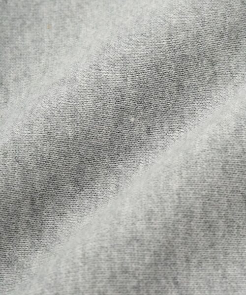 DRESSTERIOR / ドレステリア スウェット | 裏起毛 プルオーバースウェット | 詳細23