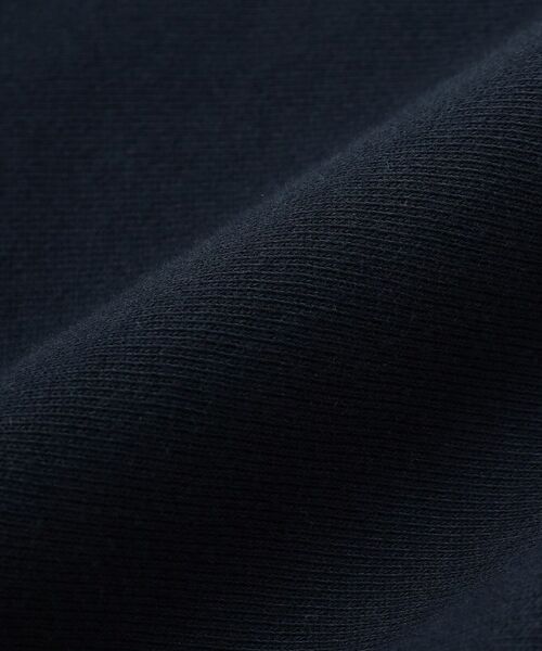 DRESSTERIOR / ドレステリア スウェット | 裏起毛 プルオーバースウェット | 詳細24