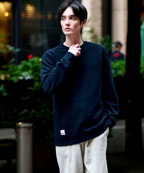 DRESSTERIOR / ドレステリア スウェット | 裏起毛 プルオーバースウェット | 詳細4