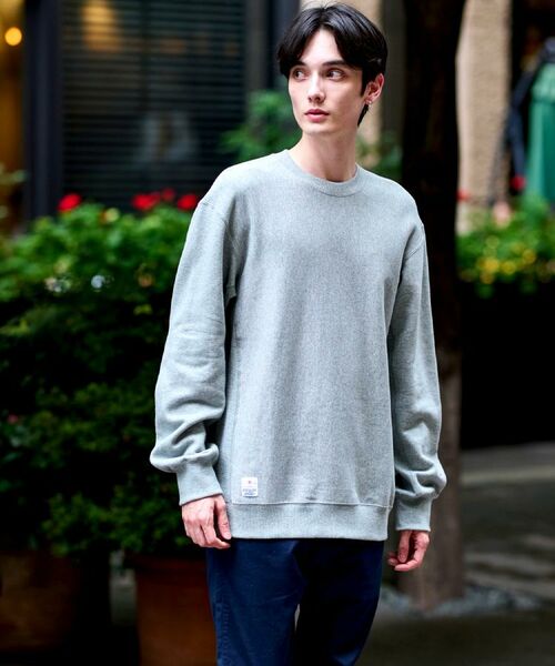 DRESSTERIOR / ドレステリア スウェット | 裏起毛 プルオーバースウェット | 詳細9