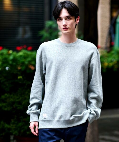 DRESSTERIOR / ドレステリア スウェット | 裏起毛 プルオーバースウェット(グレー(012))