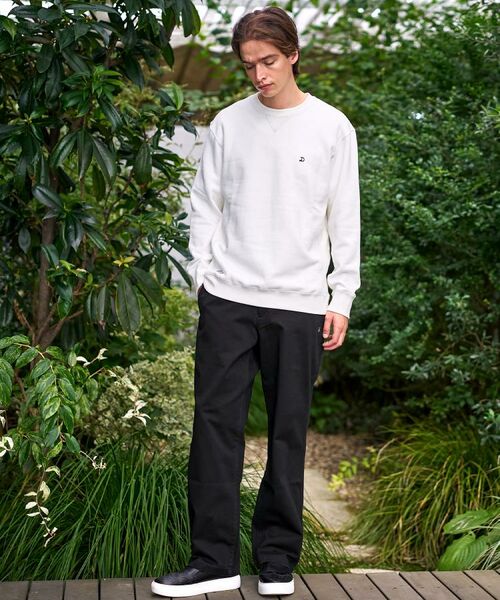 DRESSTERIOR / ドレステリア スウェット | 裏起毛 バック9プリントスウェット | 詳細1