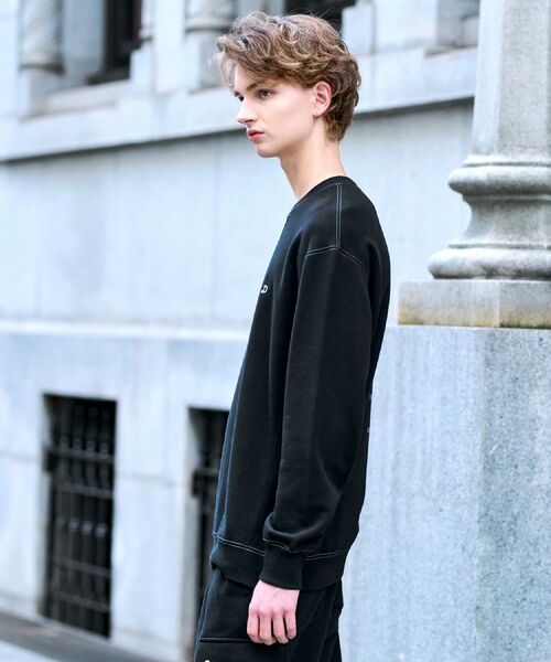 DRESSTERIOR / ドレステリア スウェット | 裏起毛 バック9プリントスウェット | 詳細15