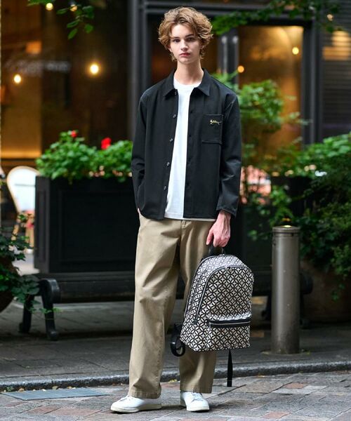 DRESSTERIOR / ドレステリア シャツ・ブラウス | タイガー刺繍 カットソーシャツ | 詳細1