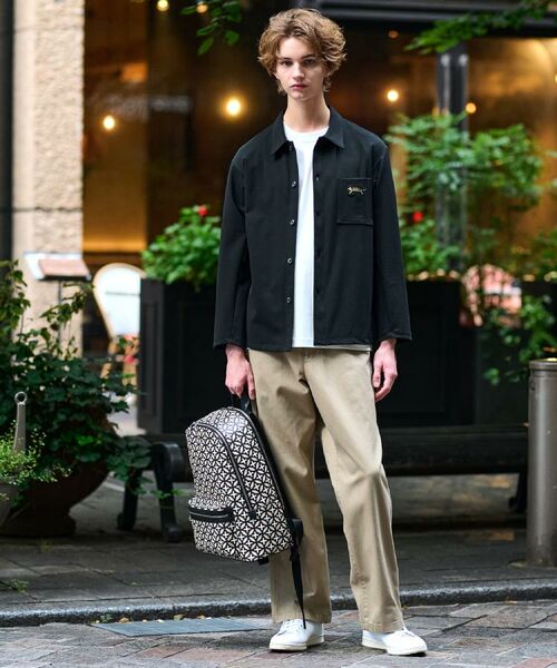 DRESSTERIOR / ドレステリア シャツ・ブラウス | タイガー刺繍 カットソーシャツ | 詳細2