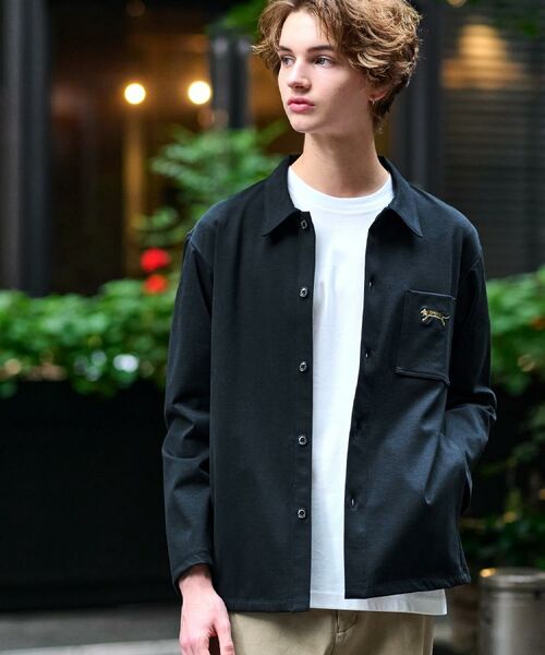 DRESSTERIOR / ドレステリア シャツ・ブラウス | タイガー刺繍 カットソーシャツ | 詳細3