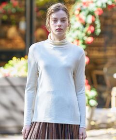 DRESSTERIOR / ドレステリア カットソー | 【インナー使いに最適/しっとり暖かな保湿素材】タートルネックプルオーバー