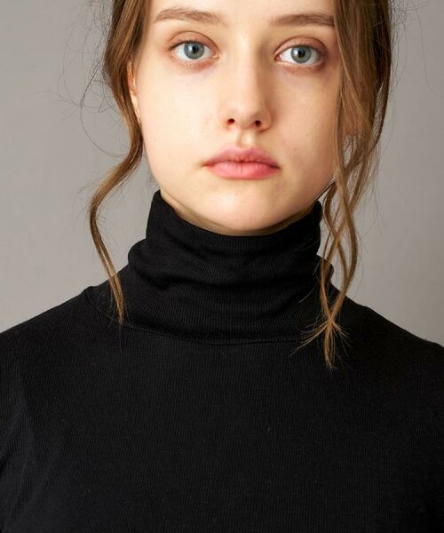 DRESSTERIOR / ドレステリア カットソー | 【インナー使いに最適/しっとり暖かな保湿素材】タートルネックプルオーバー | 詳細10