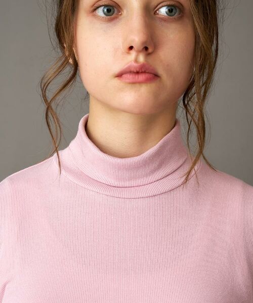 DRESSTERIOR / ドレステリア カットソー | 【インナー使いに最適/しっとり暖かな保湿素材】タートルネックプルオーバー | 詳細20