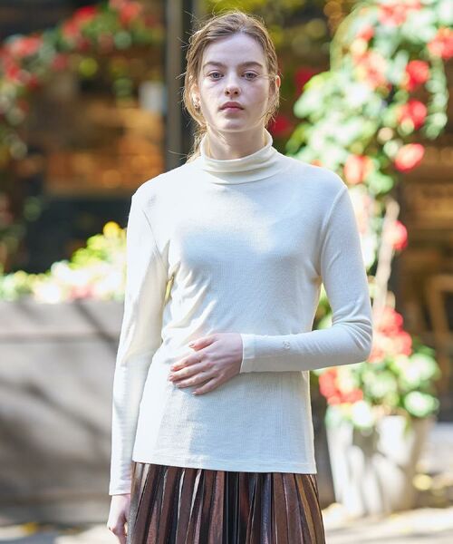 DRESSTERIOR / ドレステリア カットソー | 【インナー使いに最適/しっとり暖かな保湿素材】タートルネックプルオーバー | 詳細3