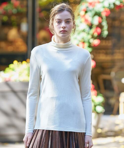 DRESSTERIOR / ドレステリア カットソー | 【インナー使いに最適/しっとり暖かな保湿素材】タートルネックプルオーバー(ホワイト(001))