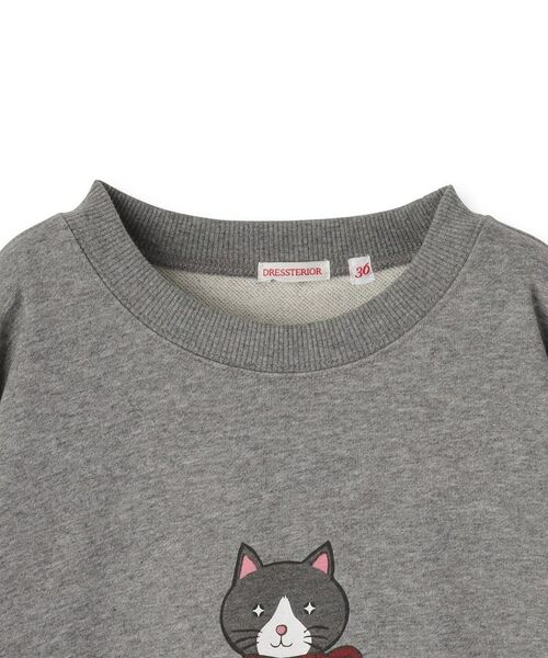 DRESSTERIOR / ドレステリア スウェット | 【ECルクア別注】キャット裏毛スウェット | 詳細21