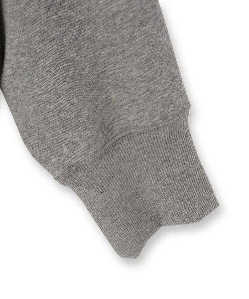 DRESSTERIOR / ドレステリア スウェット | 【ECルクア別注】キャット裏毛スウェット | 詳細22