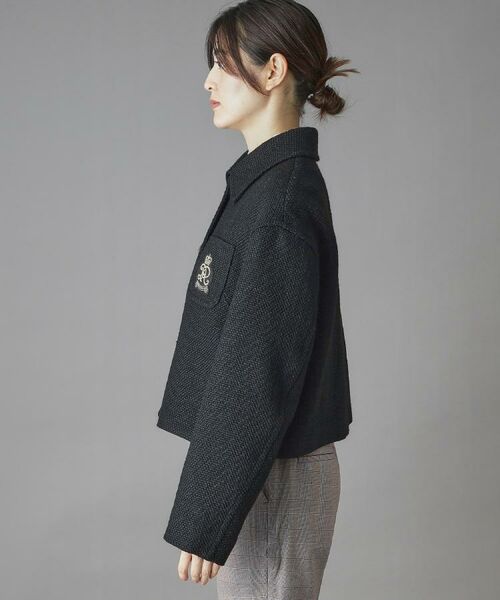 DRESSTERIOR / ドレステリア レザーブルゾン・ジャケット | エンブレムショートブルゾン | 詳細21