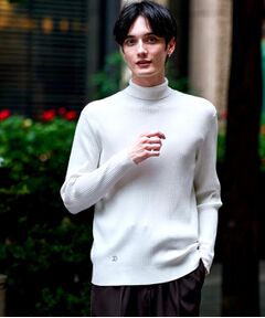 DRESSTERIOR / ドレステリア ニット・セーター | ワイドリブ タートルネックニット