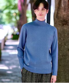 DRESSTERIOR / ドレステリア ニット・セーター | ワイドリブ タートルネックニット