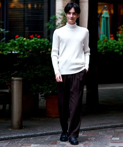 DRESSTERIOR / ドレステリア ニット・セーター | ワイドリブ タートルネックニット | 詳細1