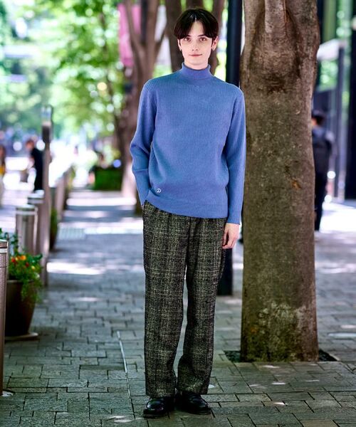 DRESSTERIOR / ドレステリア ニット・セーター | ワイドリブ タートルネックニット | 詳細17