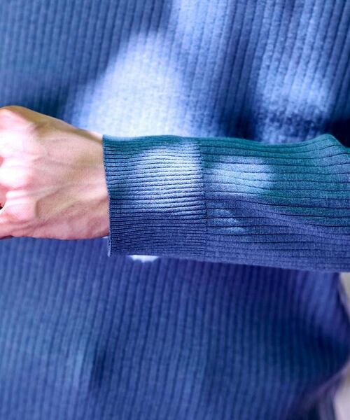 DRESSTERIOR / ドレステリア ニット・セーター | ワイドリブ タートルネックニット | 詳細22