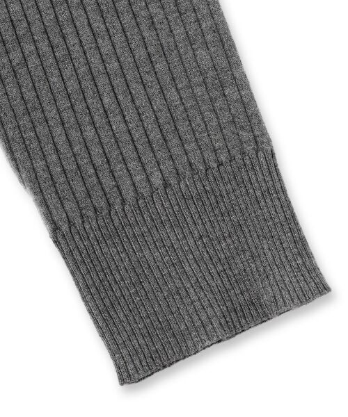 DRESSTERIOR / ドレステリア ニット・セーター | ワイドリブ タートルネックニット | 詳細30